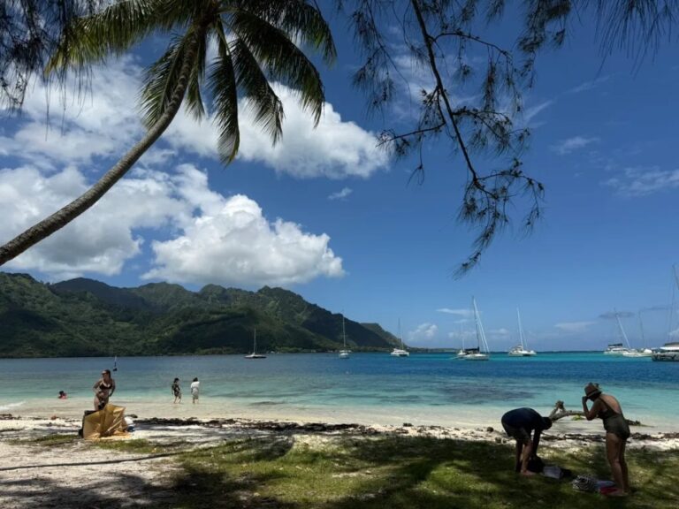 Palm-shaded Ta’ahiamanu beach with swimmers, sailboats and green mountains across the bay on Moorea