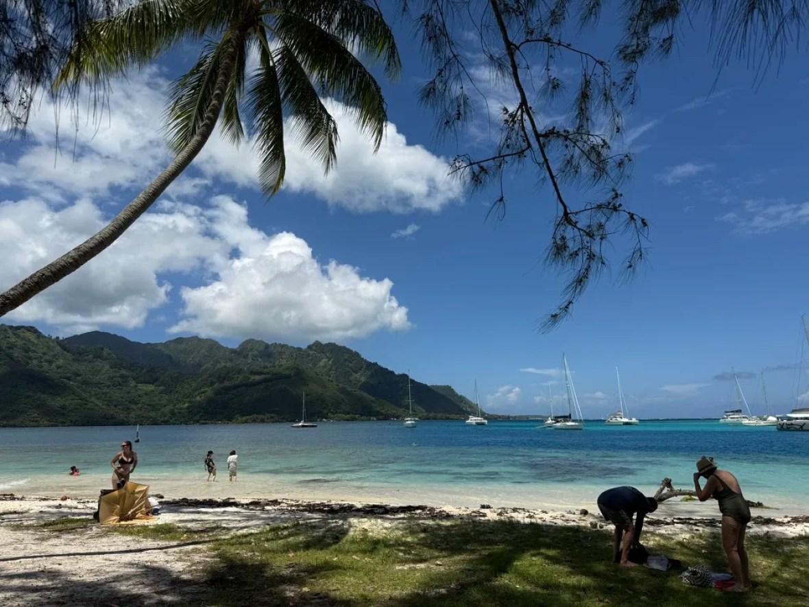 Palm-shaded Ta’ahiamanu beach with swimmers, sailboats and green mountains across the bay on Moorea