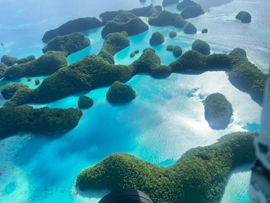 Aerial view of forested islands and turquoise lagoons in Palau, seen from a small aircraft
