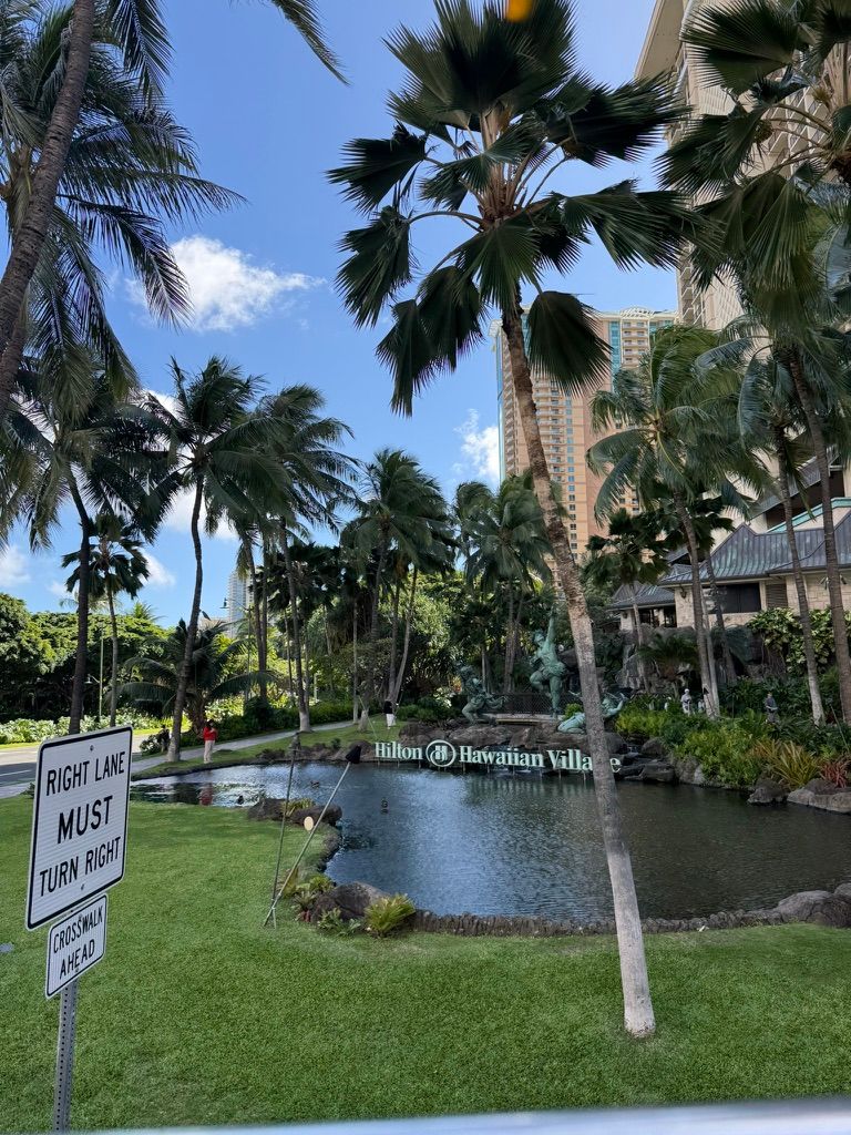 Palm trees and a landscaped pond outside Hilton Hawaiian Village in Waikiki
